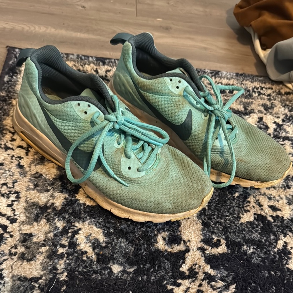 Nike Aqua Running Shoes